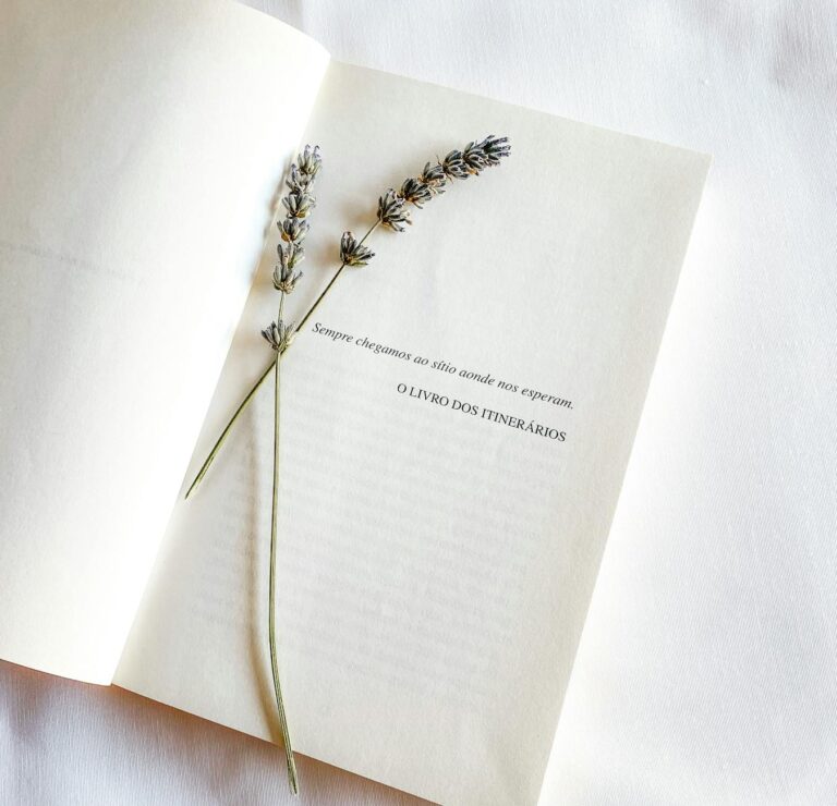 An open book with dried lavender sprigs on a white surface, minimal and calming.